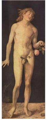 Opakowanie Puzzle 1000 Durer, Adam