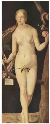 Opakowanie Puzzle 1000 Durer, Eva