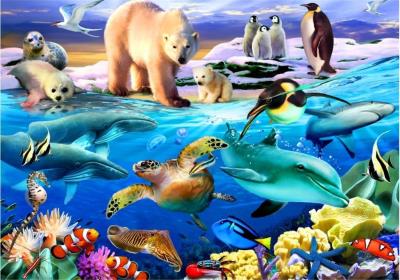 Opakowanie Puzzle 1000 Ocean pełen życia