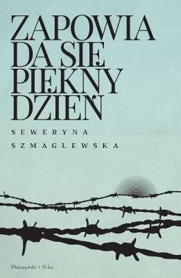 Okładka książki Zapowiada się piękny dzień DL
