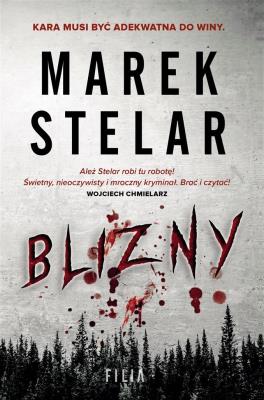 Blizny. Autor: Marek Stelar. SmakLiter.pl Okładka książki Blizny