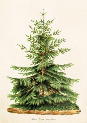 Opakowanie Karnet ST323 B6 + koperta Jodła