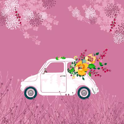 Opakowanie Karnet Swarovski kwadrat CL3406 Auto