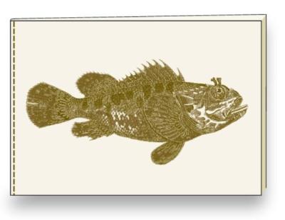 Opakowanie Notatnik ozdobny A5 BR NB S29 A ROSSI