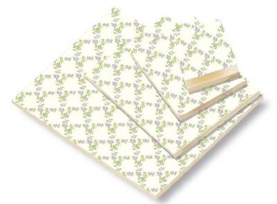 Opakowanie Notes A5 NP L49C ROSSI