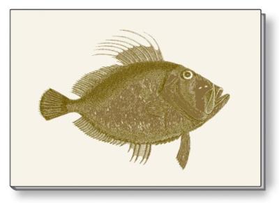 Opakowanie Notes ozdobny A5 BR NP S28 C ROSSI