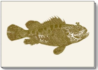 Opakowanie Notes ozdobny A5 BR NP S29 CROSSI