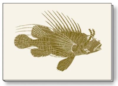 Opakowanie Notes ozdobny A6 BR NP S30 B ROSSI