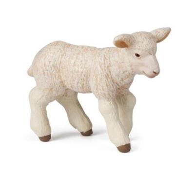 Okładka książki Papo Baranek (51047)