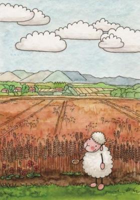 Okładka książki Pocztówka z kolorowanką - Jeśli ziarno obumrze