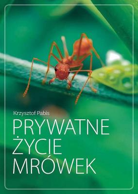 Okładka książki Prywatne życie mrówek