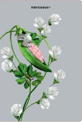 Opakowanie Teczka A4 Pea Pods