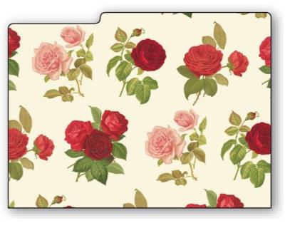 Opakowanie Teczka na dokumenty FF 534A (3szt) ROSSI