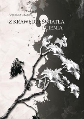 Z krawędzi światła i cienia. Autor: Arkadiusz Gawron. SmakLiter.pl Okładka książki Z krawędzi światła i cienia