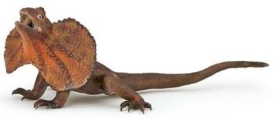 Opakowanie Agama kołnierzasta