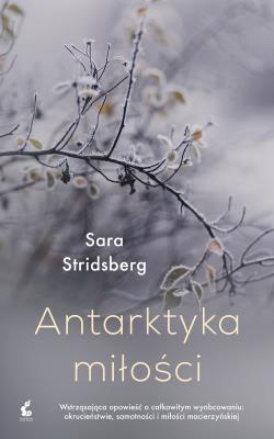 Antarktyka miłości. Autor: Sara Stridsberg, Wojciech Łygaś. SmakLiter.pl Okładka książki Antarktyka miłości