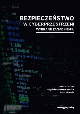 Okładka książki Bezpieczeństwo w cyberprzestrzeni Wybrane zagadnienia