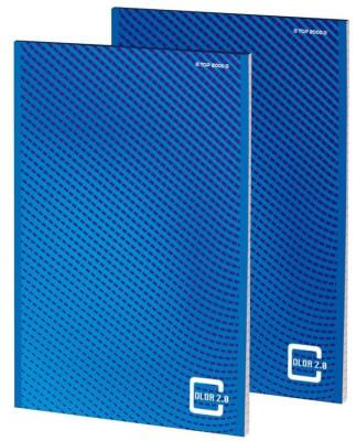 Opakowanie Blok notatnikowy A4/50K kratka Color 2.0 (10szt)