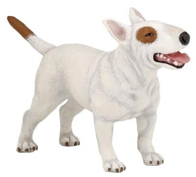 Opakowanie Bulterier