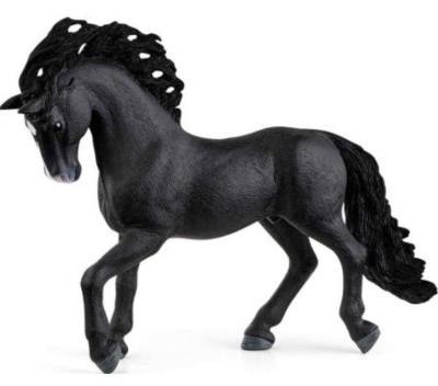 Opakowanie Hiszpański ogier