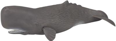 Opakowanie Kaszalot spermacetowy