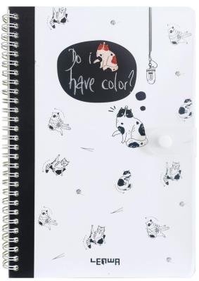 Opakowanie Kołonotes B5/80K linia zamykany na zatrzask