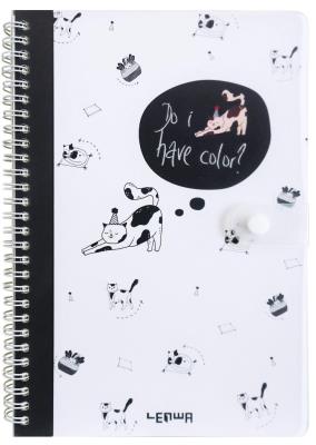 Opakowanie Kołonotes B5/80K linia zamykany na zatrzask