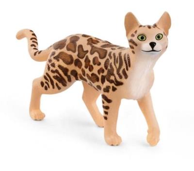 Opakowanie Kot bengalski