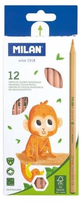 Opakowanie Kredki ołówkowe sześciokątne Natural 12 kol MILAN
