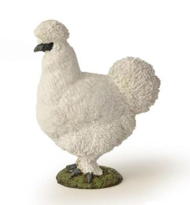 Opakowanie Kura jedwabista