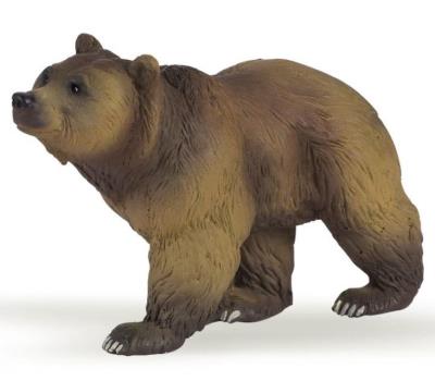 Opakowanie Niedźwiedź pirenejski