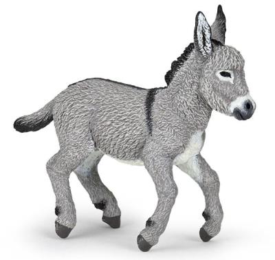 Opakowanie Osioł prowansalski mlody