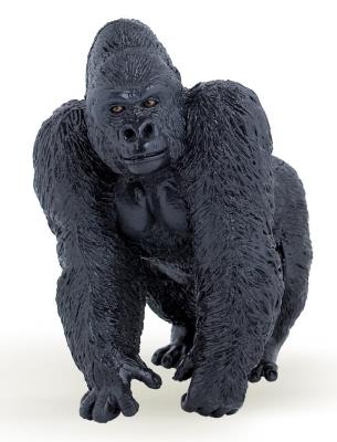 Okładka książki Papo Goryl (50034)