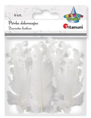 Opakowanie Piórka curly białe 6szt