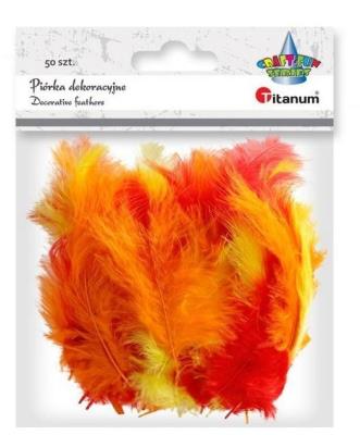 Opakowanie Piórka puch indyk mix kolorów 50szt