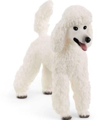 Opakowanie Pudel duży