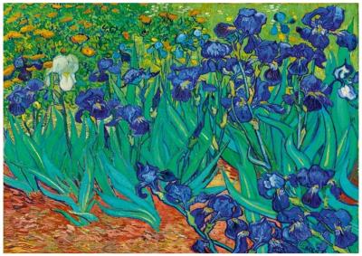 Opakowanie Puzzle 1000 Irysy, Vincent van Gogh