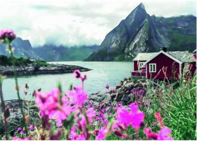 Opakowanie Puzzle 1000 Skandynawski domek