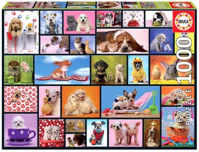 Puzzle 1000 Wspólne chwile G3. Wydawca: Educa. SmakLiter.pl Opakowanie Puzzle 1000 Wspólne chwile G3