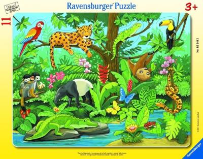 Opakowanie Puzzle 11 Co tu pasuje? Zwierzęta lasu deszczowego