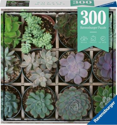 Opakowanie Puzzle Moment 300 Rośliny