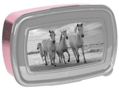 Opakowanie Śniadaniówka Horses PP21HO-3022 PASO