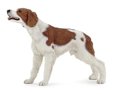 Opakowanie Spaniel brytański