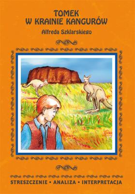 Streszczenia - Tomek w krainie... w.2016 LITERAT. Autor: oprac. Danuta Anusiak. SmakLiter.pl Okładka książki Streszczenia - Tomek w krainie... w.2016 LITERAT