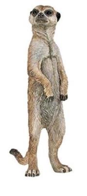 Opakowanie Surykatka stojąca