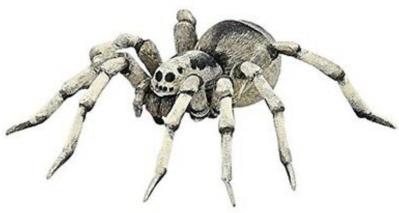 Opakowanie Tarantula