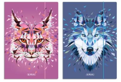 Opakowanie Teczka rysunkowa A4 z gumką Wild animals