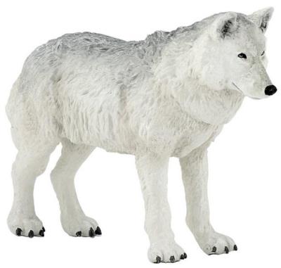 Opakowanie Wilk polarny