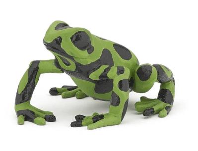 Opakowanie Żaba równikowa zielona
