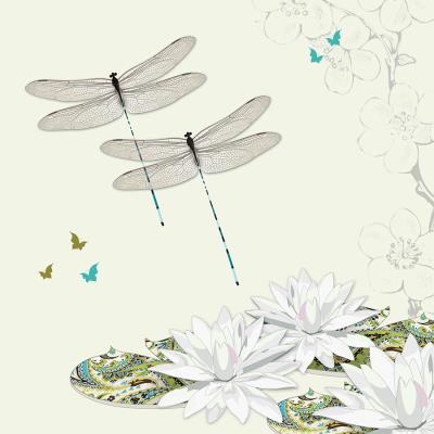 Opakowanie Karnet Swarovski kwadrat CL0503 Ważki